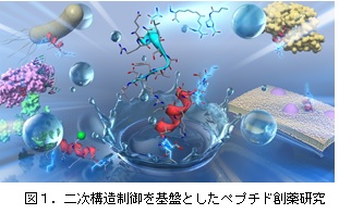 図１. 二次構造制御を基盤としたペプチド創薬