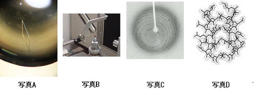 結晶化の実験